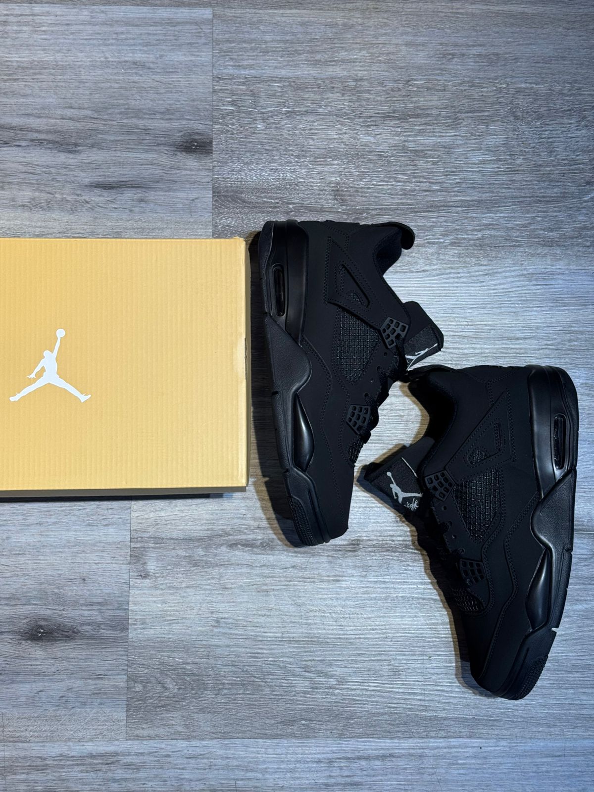 Air Jordan 4 Black Cat