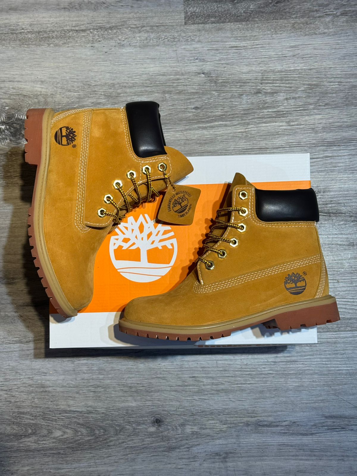 Timberland 6-Inch Premium Wheat
